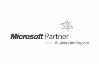 Microsoft Partner