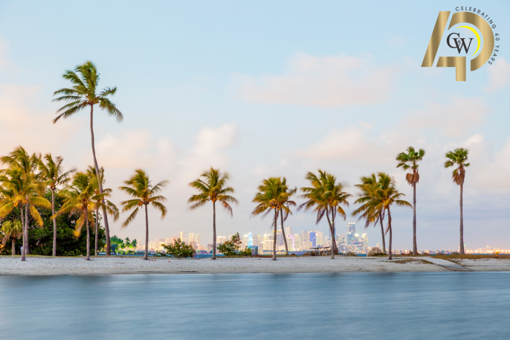Florida beach with palm trees, skyline